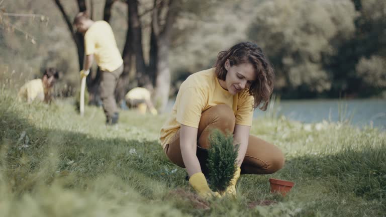 Best Lawn Drainage Solutions  in Cayuga Heights, NY