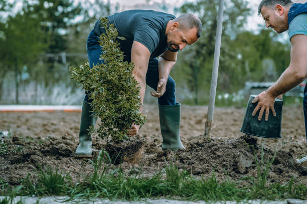 Best Soil Testing and Treatment  in Cayuga Heights, NY