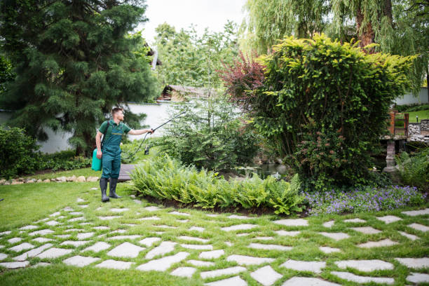 Best Grass Overseeding  in Cayuga Heights, NY