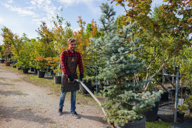 Best Hazardous Tree Removal  in Cayuga Heights, NY